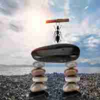 自​动﻿发﻿帖﻿子​的​软﻿件‍